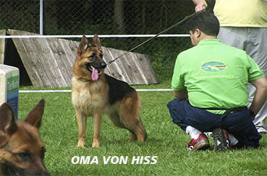 Von-hiss